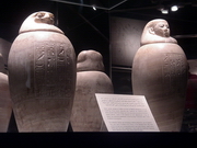 Louxor - musée de la momie - vases canopes